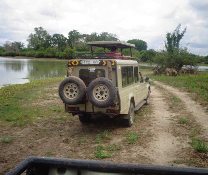 Ruaha Safari