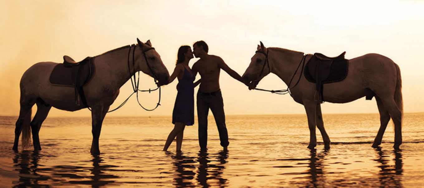 Honeymooners' horse riding