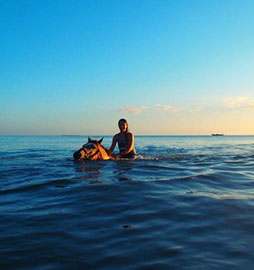 Tanzania Safari Horse riding in Zanzibar