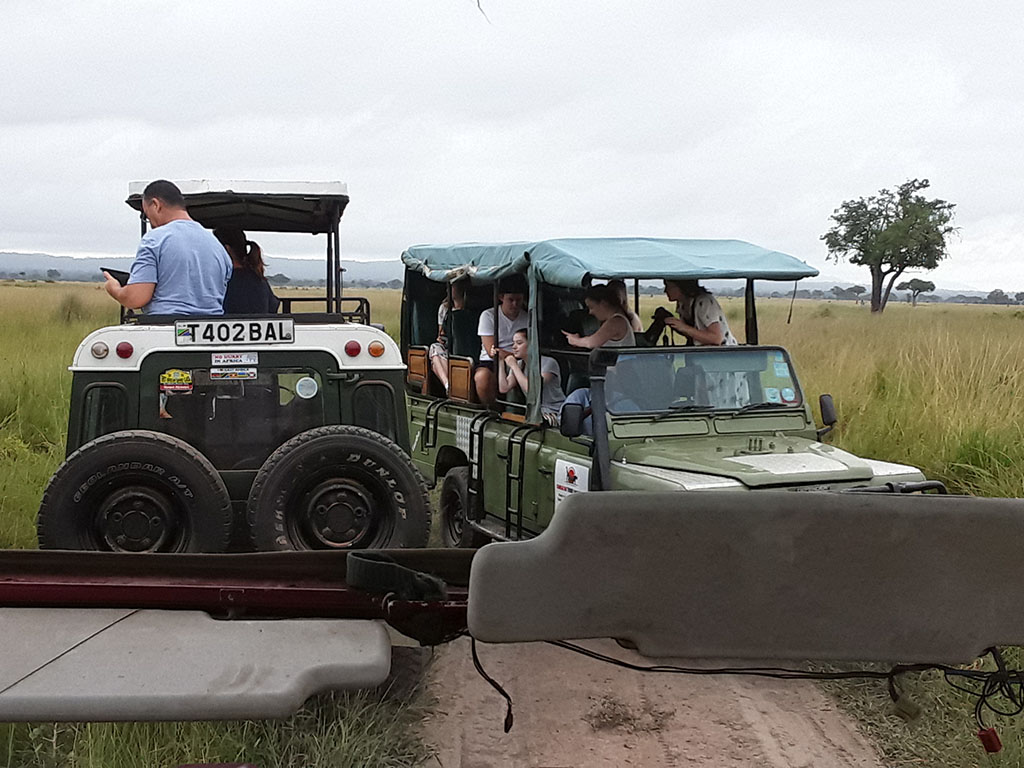Tanzania Safari
