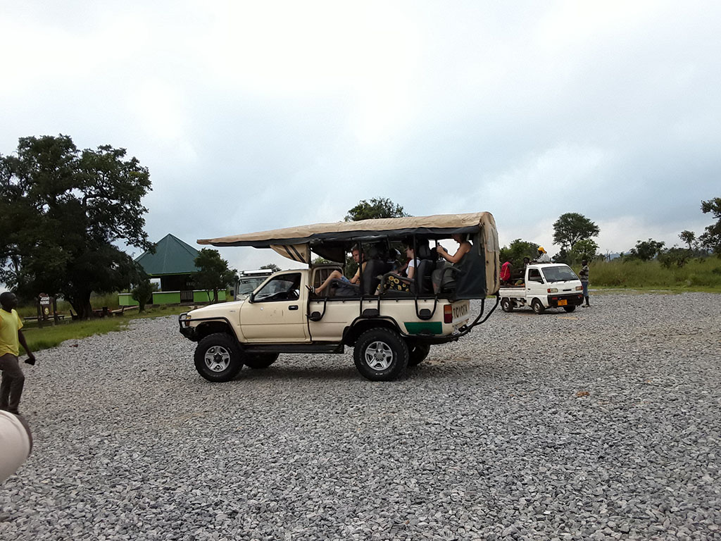 Tanzania Safari