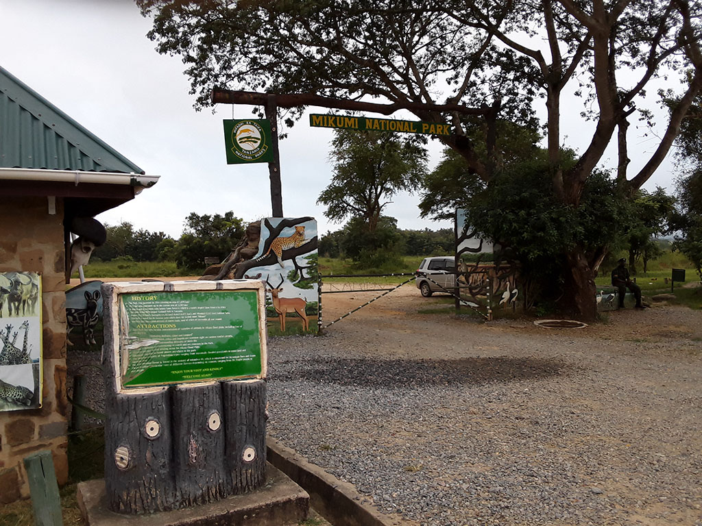 Tanzania Safari