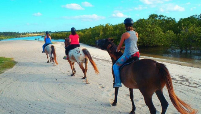 Beach Horse riding