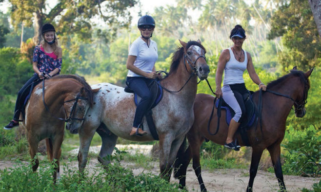Beach Horse riding