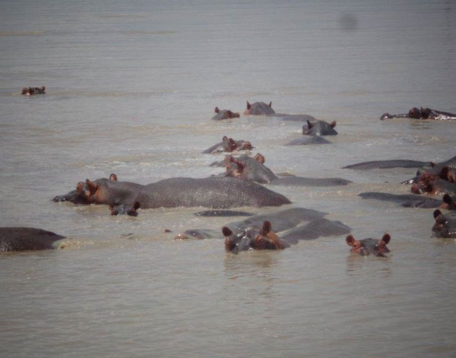 Ngorongoro Safari